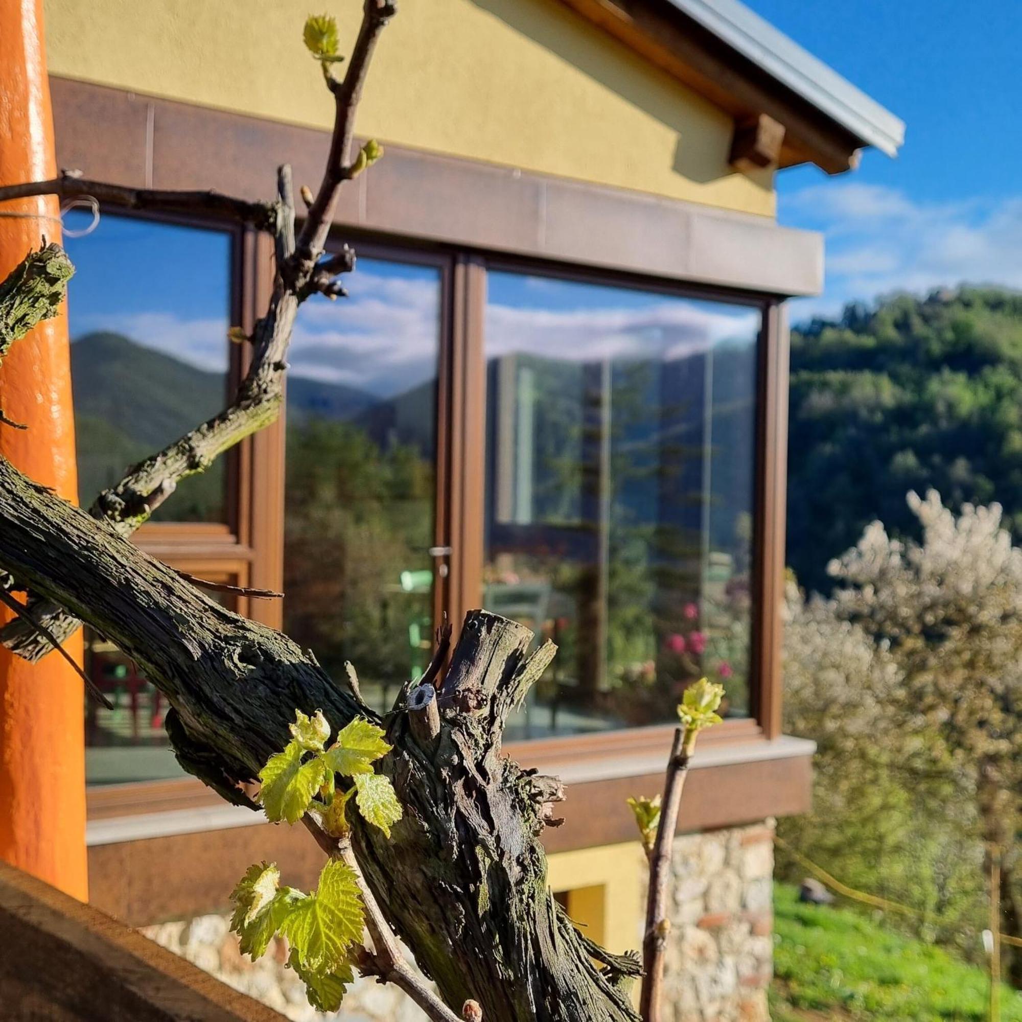 Lisio La Botalla Agriturismo מראה חיצוני תמונה